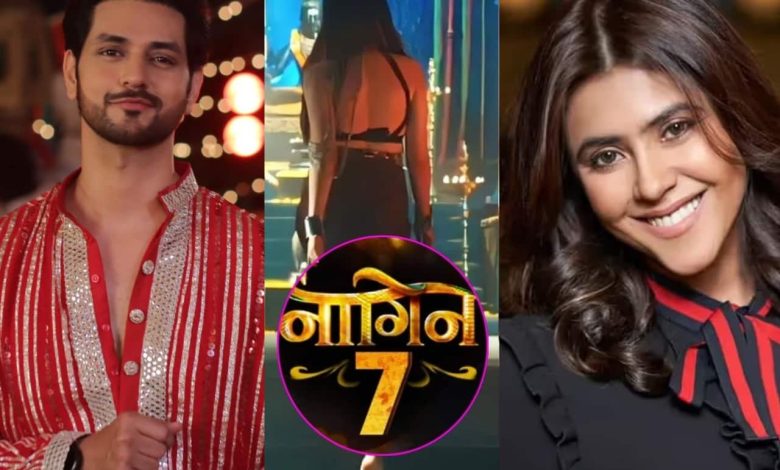 Naagin 7: एकता कपूर की 'नागिन' संग रोमांस करेंगे शक्ति अरोड़ा, रातों-रात अभिषेक कुमार का कट गया पत्ता?