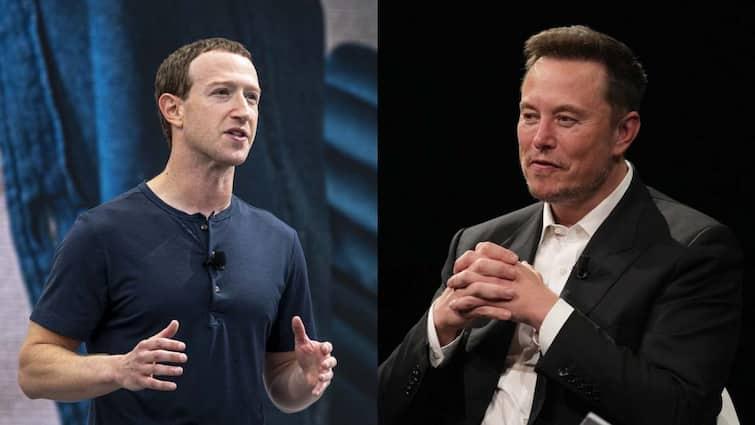 elon Musk calls mark Zuckerberg chicken amid cage fight remarks facebook vs tesla ceo news मार्क जुकरबर्ग ने ऐसा क्या कर दिया? बोलने लगे एलन मस्क-